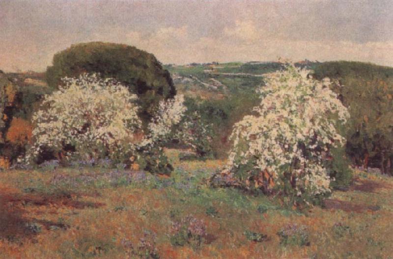 Aureliano De Beruete Y Moret Hawthorn in Blossom